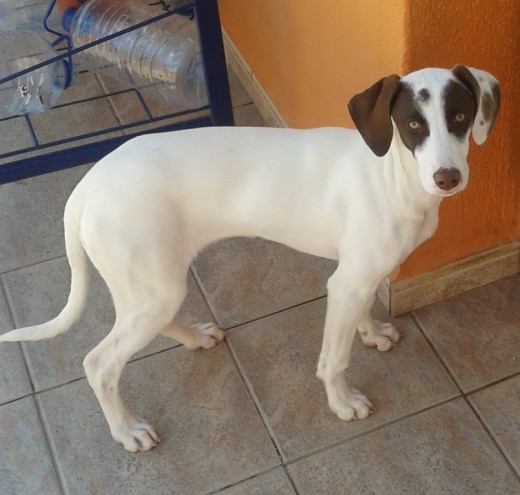 tina a los 6 meses tina a los 6 meses